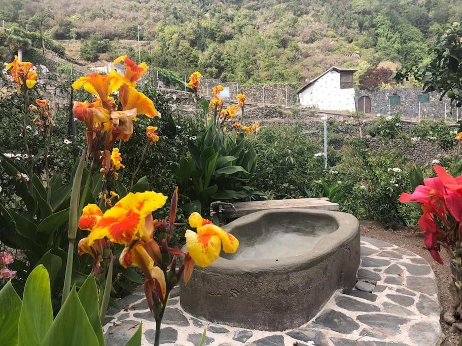 Califurnia - Refurb Antique Villa Icod De Los Vinos Exterior photo